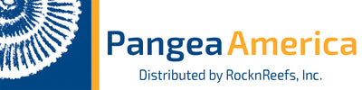 Pangea America