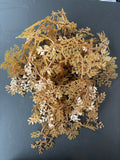 Sargassum