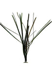 Product image-Pangea America synthetic eelgrass