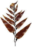 Product image-Pangea America synthetic Giant sea kelp