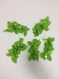 Product image-Pangea America synthetic sea lettuce size options