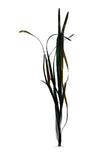 Product image-Pangea America synthetic Vallisneria natans 