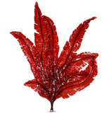 Red Marine Seaweed (Delesseria sanguinea)