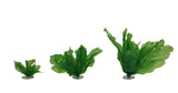 Product image-Pangea America synthetic giant sea lettuce size options