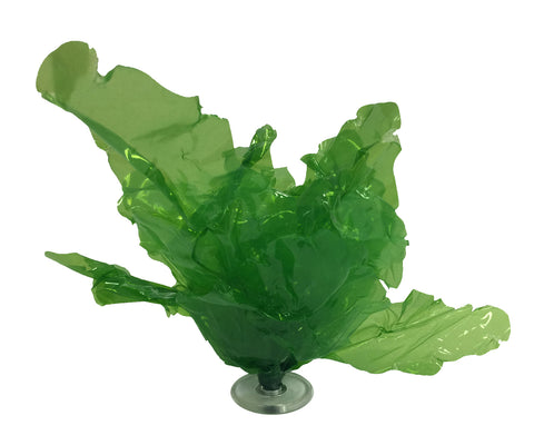 Product image-Pangea America synthetic giant sea lettuce size options